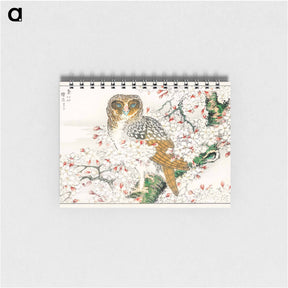 アートメモ帳-Short-eared Owl and Cherry Flower
 - 鳥類図鑑 Memo.