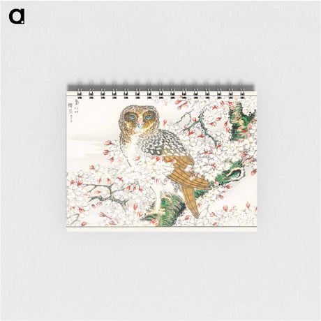 アートメモ帳-Short-eared Owl and Cherry Flower
 - 鳥類図鑑 Memo.