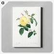 アートパネル-Yellow Rose - ピエール ジョゼフ ルドゥーテ Canvas.