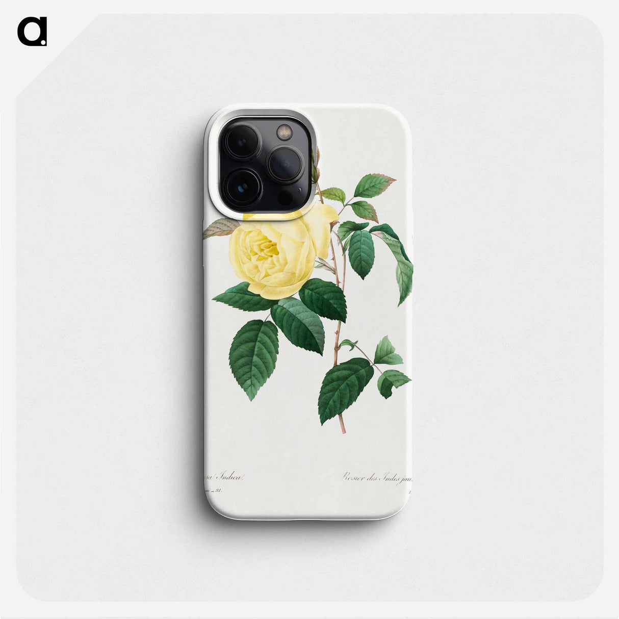 Yellow Rose - Pierre Joseph Redouté Phone Case.