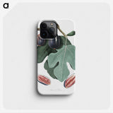 1-3_Pomona-Italiana_phone