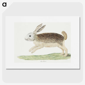 1-3_Robert-Jacob-Gordon_picture