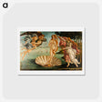 アートポストカード-The Birth of Venus - サンドロ ボッティチェッリ Postcard.