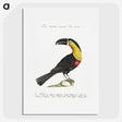 1-3_Saverio-Manetti_picture
