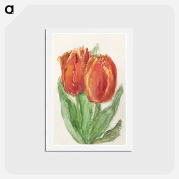 Two Red Tulips
 - シエンチェ メスダグ ファン ハウテン Postcard.