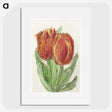 1-3_Sientje-Mesdag-van-Houten_picture