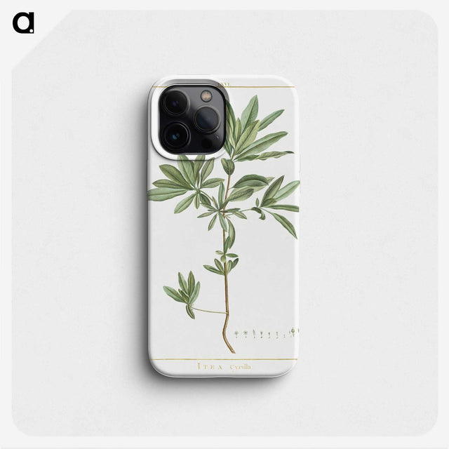 1-3_Stirpes-Novae_phone