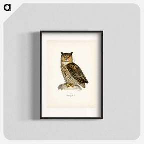 アートポスター-Eurasian Eagle-Owl
 - スヴェンスカ フォグラル Poster.
