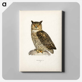 アートパネル-Eurasian Eagle-Owl
 - スヴェンスカ フォグラル Canvas.