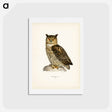 アートポストカード-Eurasian Eagle-Owl
 - スヴェンスカ フォグラル Postcard.