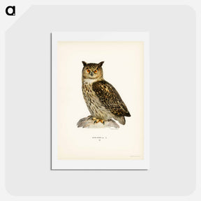アートポストカード-Eurasian Eagle-Owl
 - スヴェンスカ フォグラル Postcard.