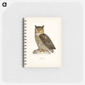 アートメモ帳-Eurasian Eagle-Owl
 - スヴェンスカ フォグラル Memo.