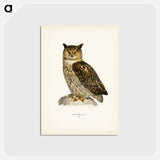 アートポストカード-Eurasian Eagle-Owl
 - スヴェンスカ フォグラル Postcard.