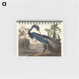 アートメモ帳-Louisiana Heron from Birds of America
 - アメリカの鳥たち Memo.