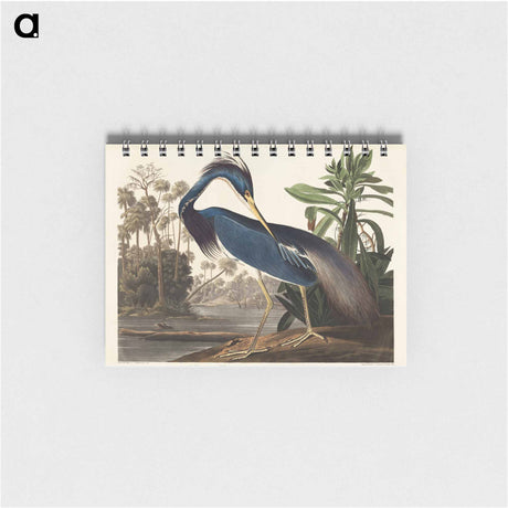 アートメモ帳-Louisiana Heron from Birds of America
 - アメリカの鳥たち Memo.