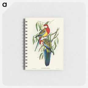 アートメモ帳-Rose-hill Parakeet
 - オーストラリアの鳥 Memo.