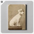 1-3_The-Burton-Brothers_canvas