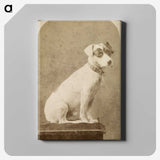 1-3_The-Burton-Brothers_canvas