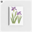 1-3_The-Genus-Iris_memo