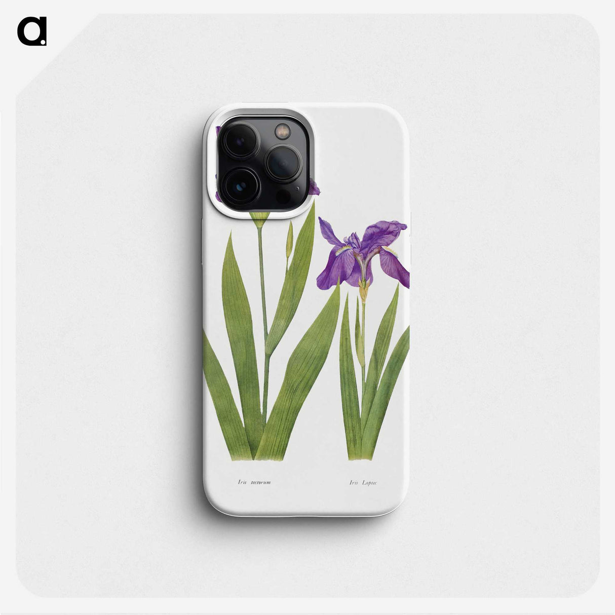 1-3_The-Genus-Iris_phone