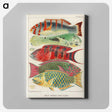 1-3_The-Great-Barrier-Reef-of-Australia_canvas