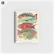 1-3_The-Great-Barrier-Reef-of-Australia_memo