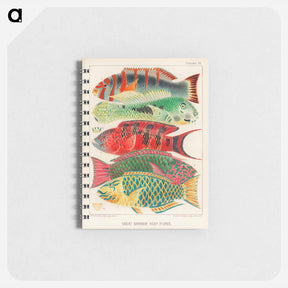 アートメモ帳-Great Barrier Reef Fishes - オーストラリアのグレートバリアリーフ Memo.