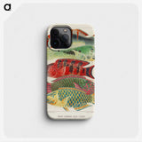 1-3_The-Great-Barrier-Reef-of-Australia_phone