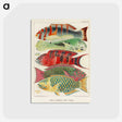 1-3_The-Great-Barrier-Reef-of-Australia_postcard