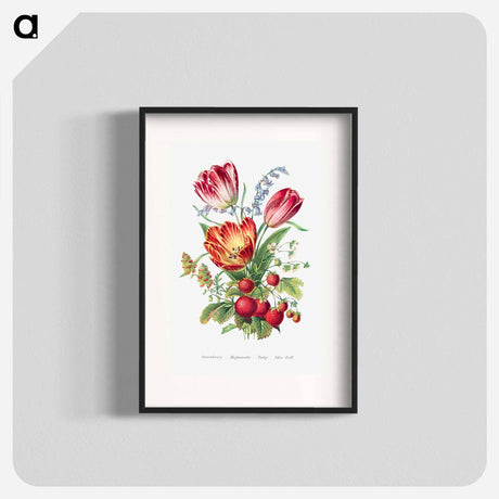 アートポスター-Strawberry, Mignonette, Tulip, and Blue Bell
 - 花言葉 Poster.
