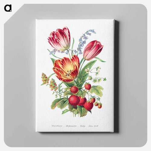 Strawberry, Mignonette, Tulip, and Blue Bell
 - The Language of Flowers Canvas.