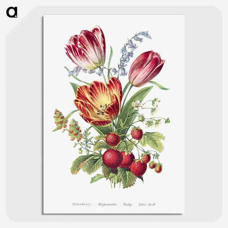 1-3_The-Language-of-Flowers_picture-crop