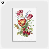 1-3_The-Language-of-Flowers_postcard