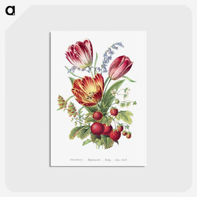 1-3_The-Language-of-Flowers_postcard