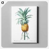 1-3_The-Lilies_canvas