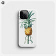 1-3_The-Lilies_phone