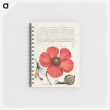 アートメモ帳-Terrestrial Mollusk, Poppy Anemone, and Crane Fly
 - 書道のお手本 Memo.