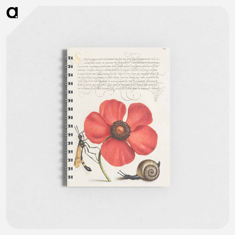 アートメモ帳-Terrestrial Mollusk, Poppy Anemone, and Crane Fly
 - 書道のお手本 Memo.