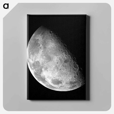 アートパネル-Lunar North Pole Mosaic
 - ムーン Canvas.