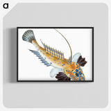 1-3_The-Natural-History-of-British-Fishes_blk-crop