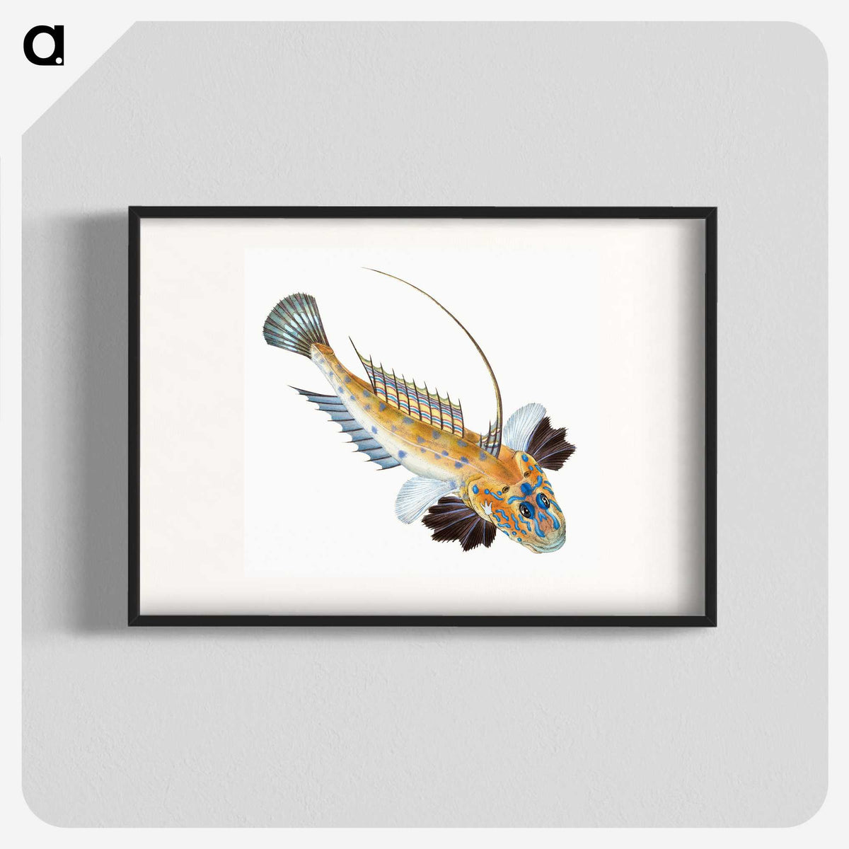 1-3_The-Natural-History-of-British-Fishes_blk