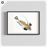 1-3_The-Natural-History-of-British-Fishes_blk