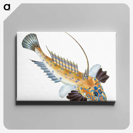 1-3_The-Natural-History-of-British-Fishes_canvas