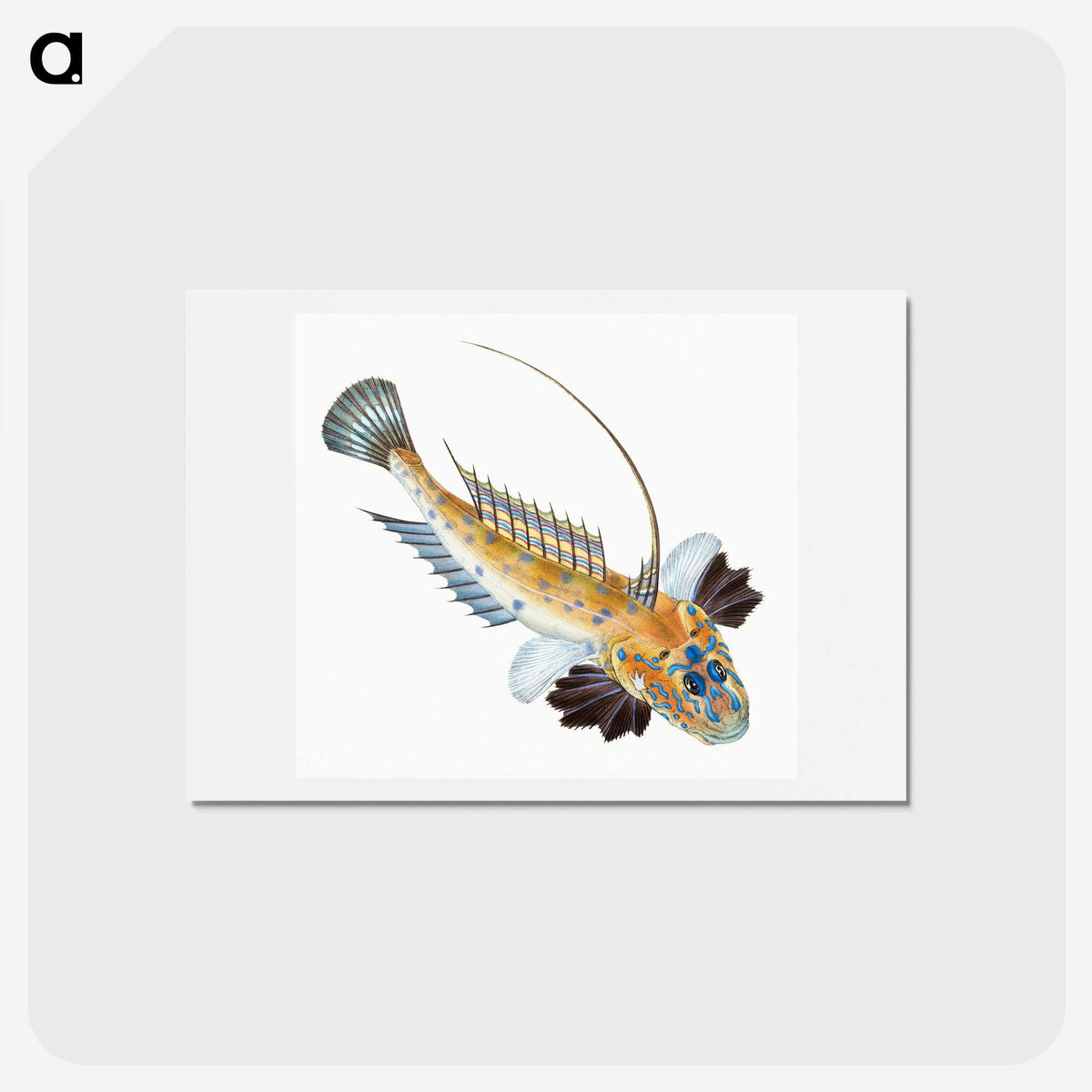 1-3_The-Natural-History-of-British-Fishes_hagaki