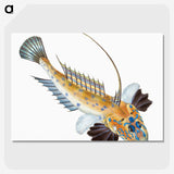 1-3_The-Natural-History-of-British-Fishes_picture-crop