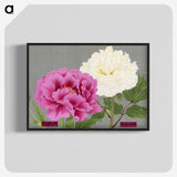 1-3_The-Picture-Book-of-Peonies_blk-crop