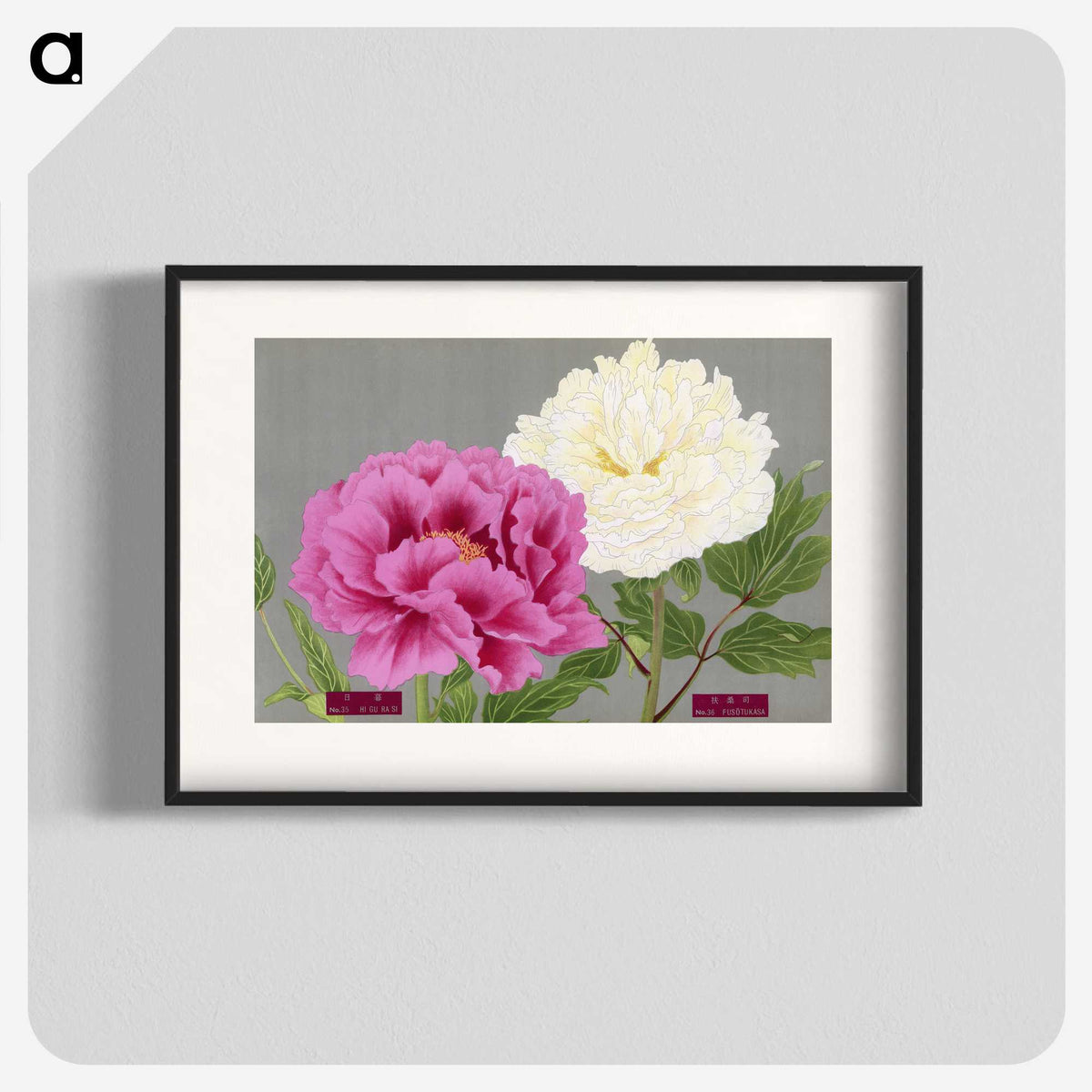 1-3_The-Picture-Book-of-Peonies_blk
