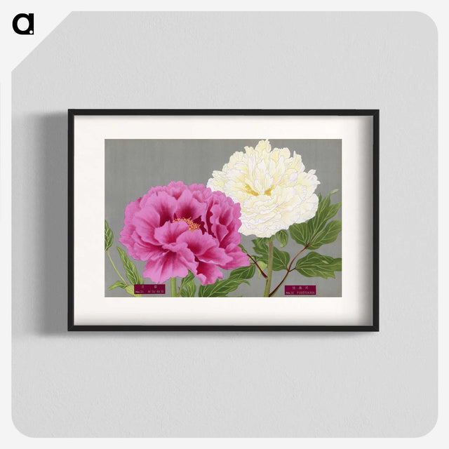 1-3_The-Picture-Book-of-Peonies_blk