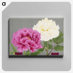 1-3_The-Picture-Book-of-Peonies_canvas