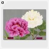 1-3_The-Picture-Book-of-Peonies_picture-crop